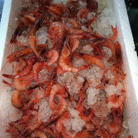 德尔加多旅馆 贝纳瓦雷